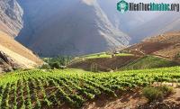 Ảnh Những thông tin thú vị về đất nước Chile khiến bạn phải ngạc nhiên