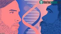 Ảnh Hơn 1/4 dân số Việt Nam sở hữu DNA của người Neanderthal: Có tác dụng chống virut Covid-19