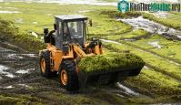 Ảnh Nghiên cứu mới: Tảo có thể tồn tại trong môi trường giống với sao Hỏa