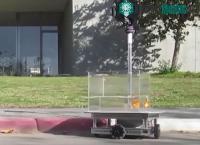 Ảnh Các nhà khoa học huấn luyện cá vàng cách "lái xe" để đến lấy thức ăn
