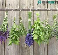 Ảnh Hướng dẫn cách xông mũi, họng tại nhà an toàn và hiệu quả
