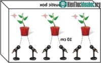 Ảnh Thì ra, thực vật cũng biết hét lên mỗi khi căng thẳng