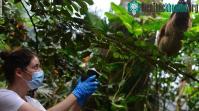 Ảnh ADN trong không khí - một bằng chứng sống vô cùng thú vị