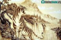 Ảnh Một vài những kiêng kỵ khi treo tranh hổ trong Tết Nhâm Dần