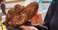 Ảnh New York bật mí loại 'vũ khí' bí mật phòng nước biển dâng cao rất hiệu quả