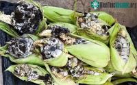 Ảnh Ngô mọc cục u lạ: nông dân rầu rĩ nhưng người sành ăn sẵn lòng chi nhiều tiền để mua về